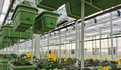 速差防墜器在農業示范基地中的應用